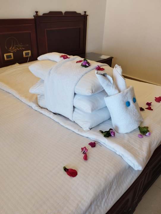 Zimmer Three Corners Happy Life Beach Resort