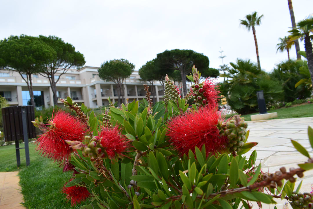 Gartenanlage Valentin Sancti Petri