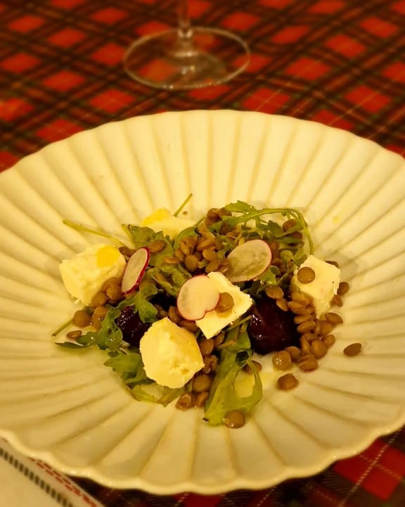 Gastro Acanthus Cennet Barut Collection