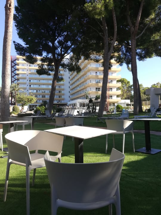 Gartenanlage BQ Belvedere Hotel