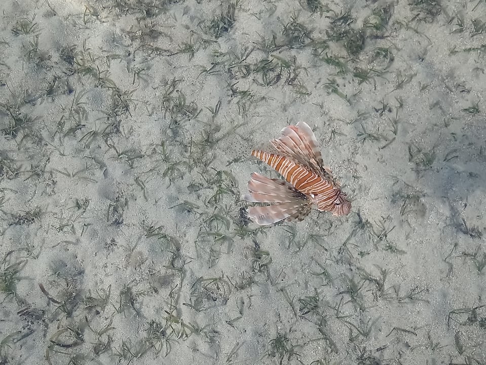 Strand Regency Plaza Aqua Park & Spa