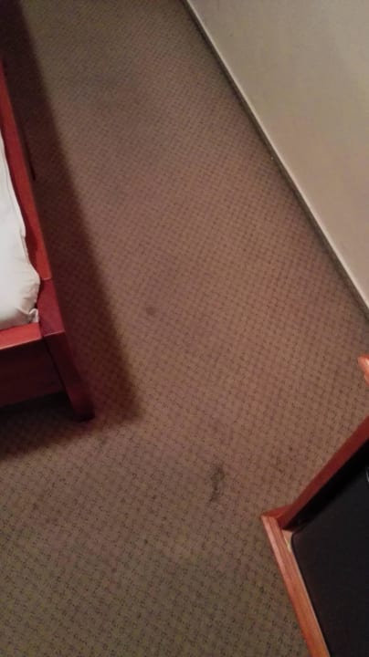 Verschmutzter Teppich Hotel Residence Liliova