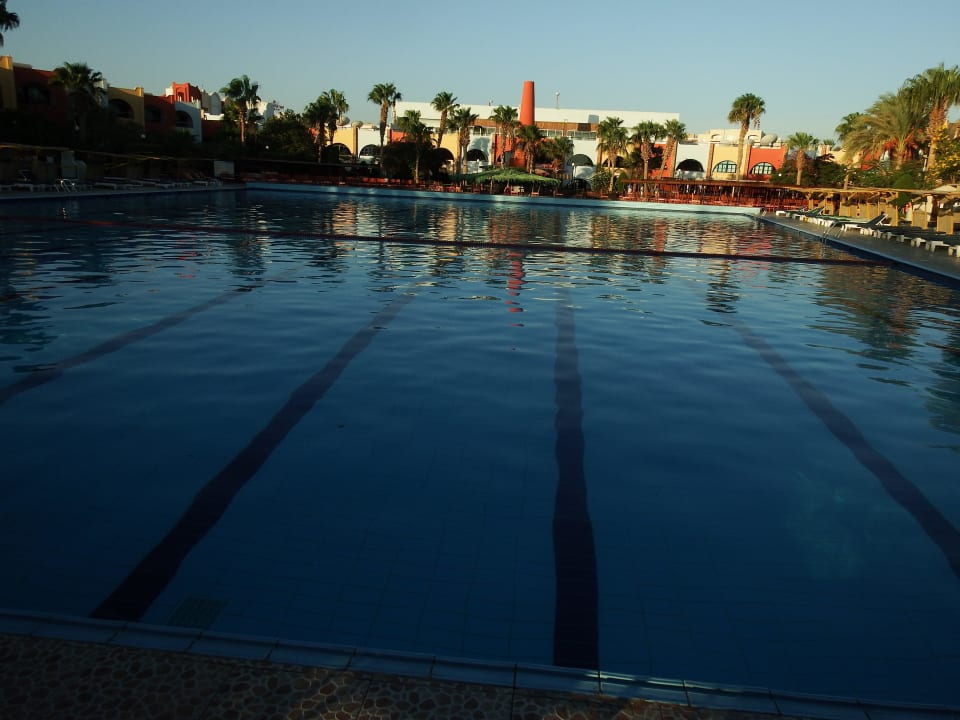 Pool mit Olympiamaßen Arabia Azur Resort