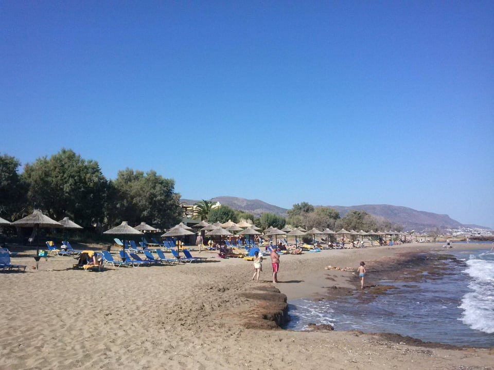 Badeurlaub 2013 Phãea Cretan Malia