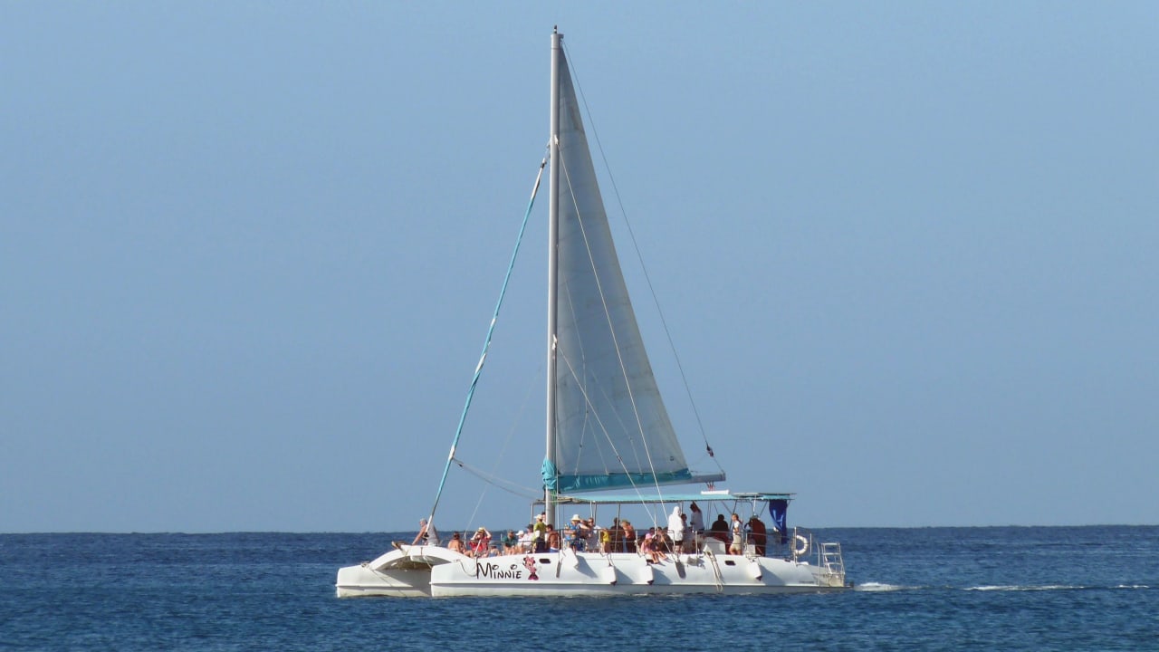 Ausblick Hotel Viva Dominicus Beach by Wyndham - All Inclusive Resort