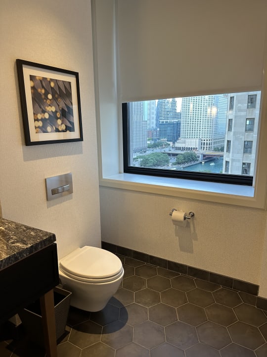 Zimmer LondonHouse Chicago, Curio Collection by Hilton