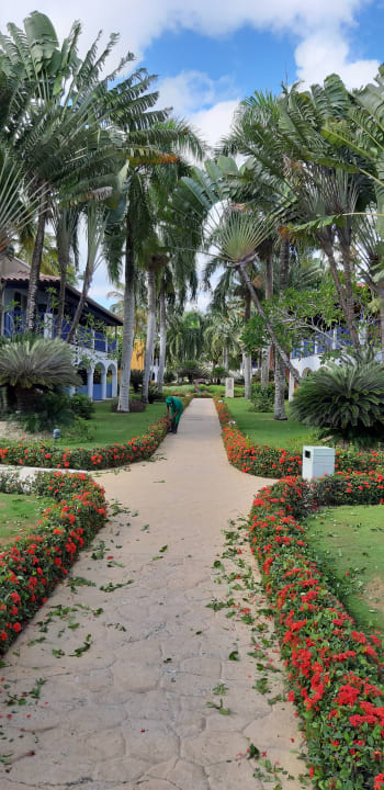 Gartenanlage Catalonia Royal La Romana - Adults only