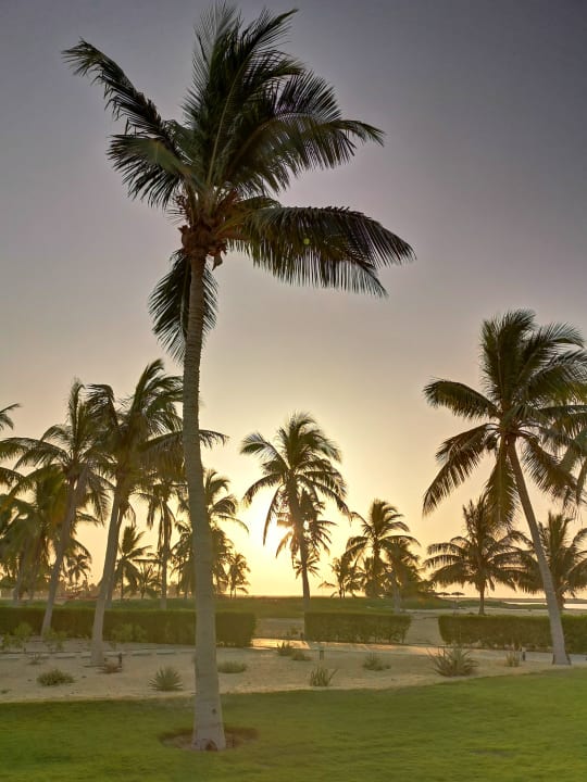 Gartenanlage Salalah Rotana Resort