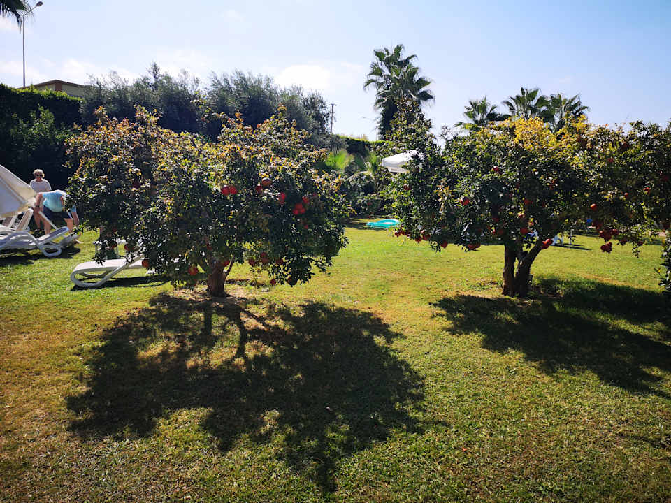 Gartenanlage Mary Hotel Side