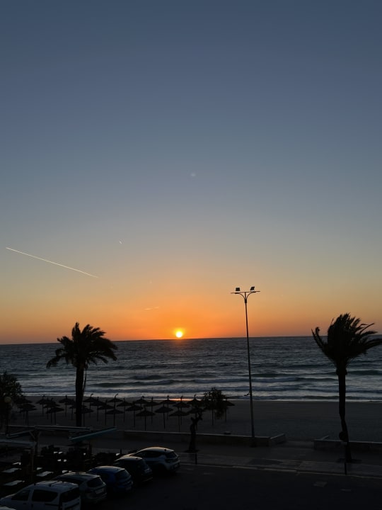 Zimmer Hipotels Hipocampo