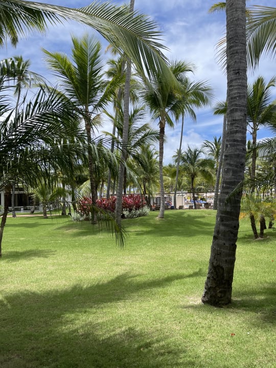 Gartenanlage Hotel Riu Palace Macao - Adults only