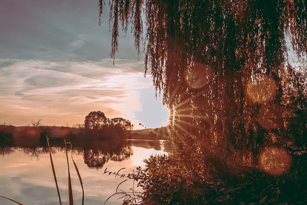 Ausblick Urlaub am Regen - Ferienhof Dirnberger