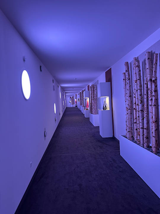 Sonstiges Der Birkenhof - Spa & Genuss Resort