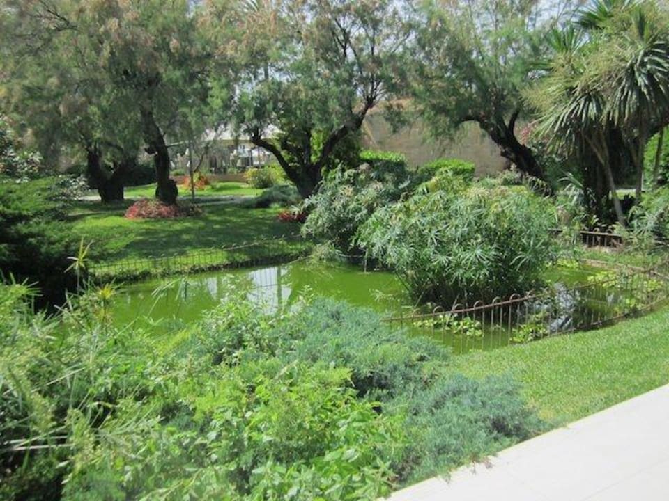 Blick von Zimmerterrasse PortBlue Club Pollentia Resort & Spa