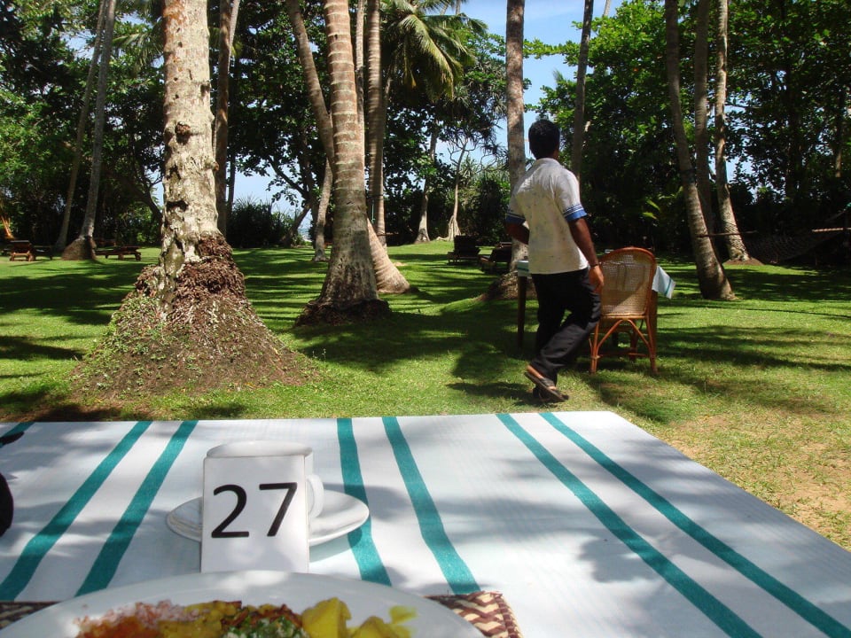 Aublick von meinem Tisch Surya Lanka Ayurveda Beach Resort