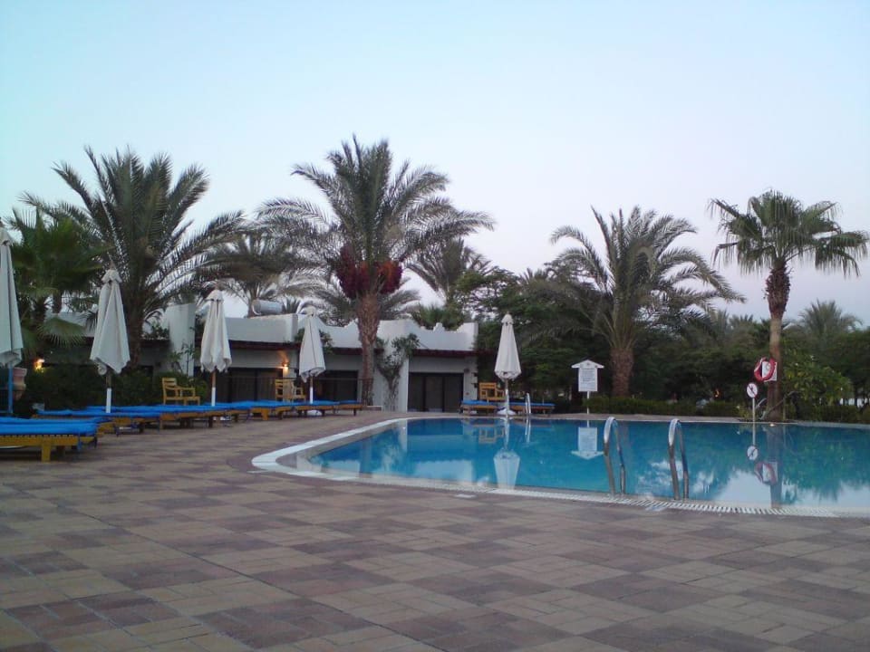 Pool bei Rezeption  JAZ Fayrouz