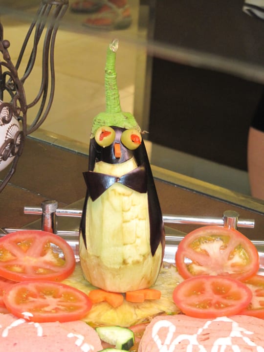 Pinguin R2 Lago Playa Park