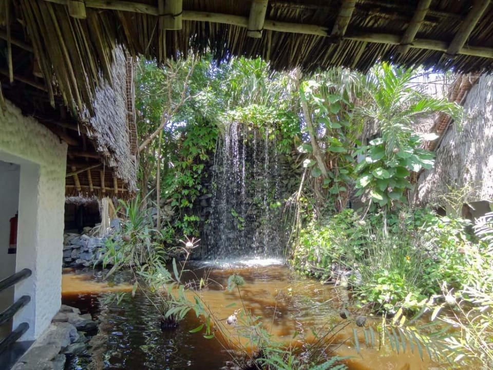 Teichanlage Hotel Southern Palms Beach Resort