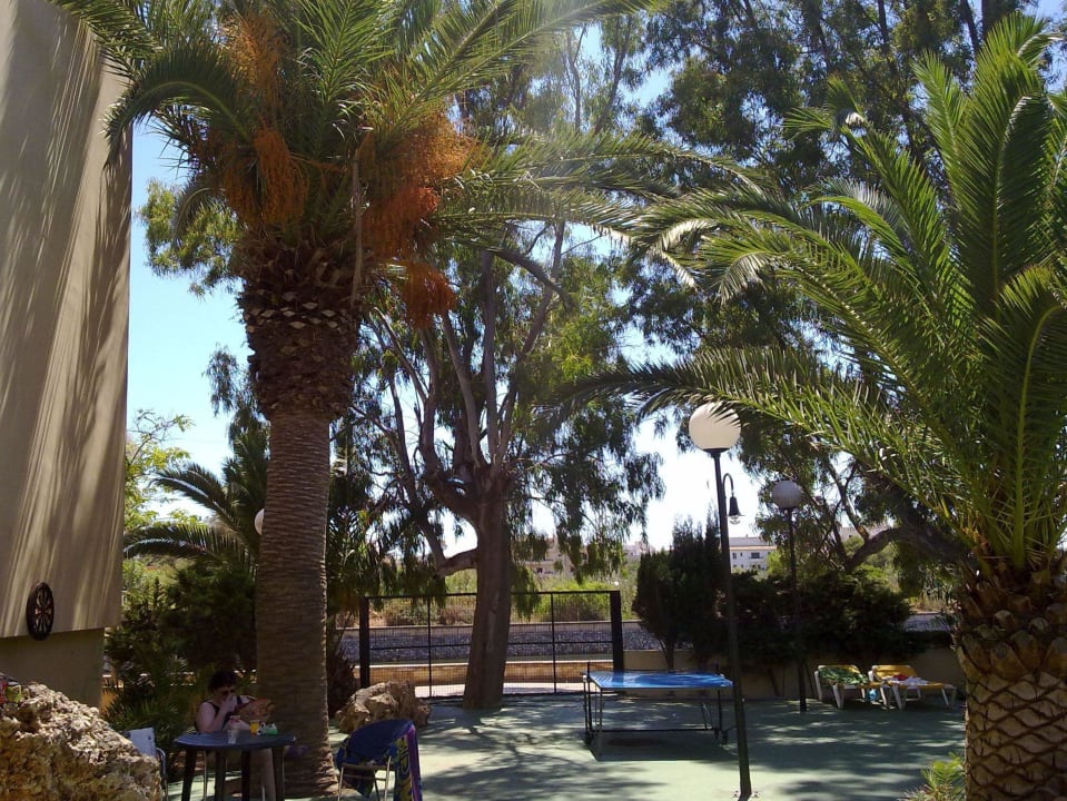 Playamar Appartements BJ Playamar Hotel & Apartamentos