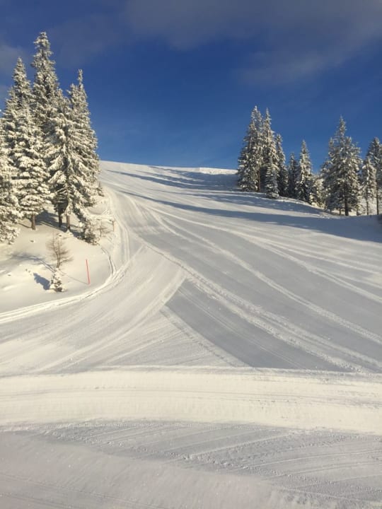 Außenansicht Almhütten Moselebauer