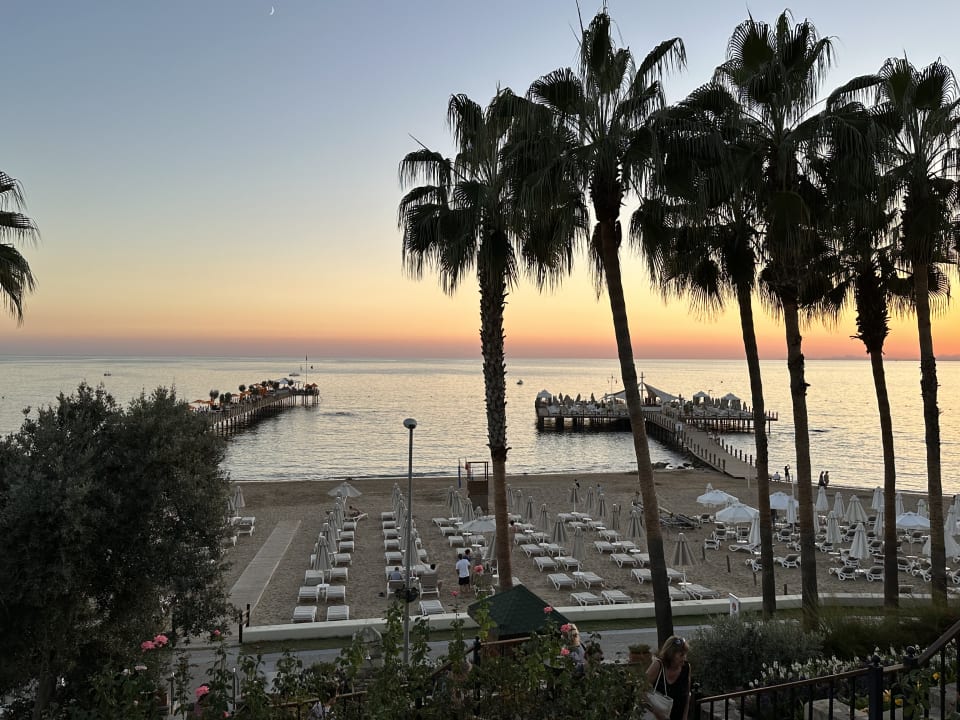 Strand Arum Barut Collection