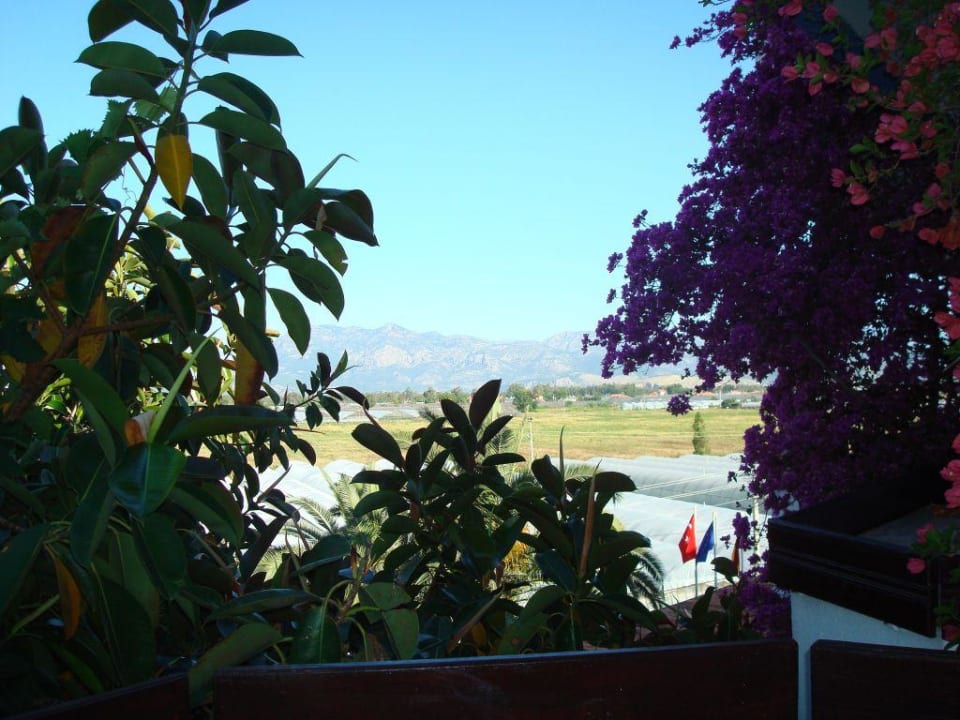 Aussicht von unserem Balkon Hotel Orkinos