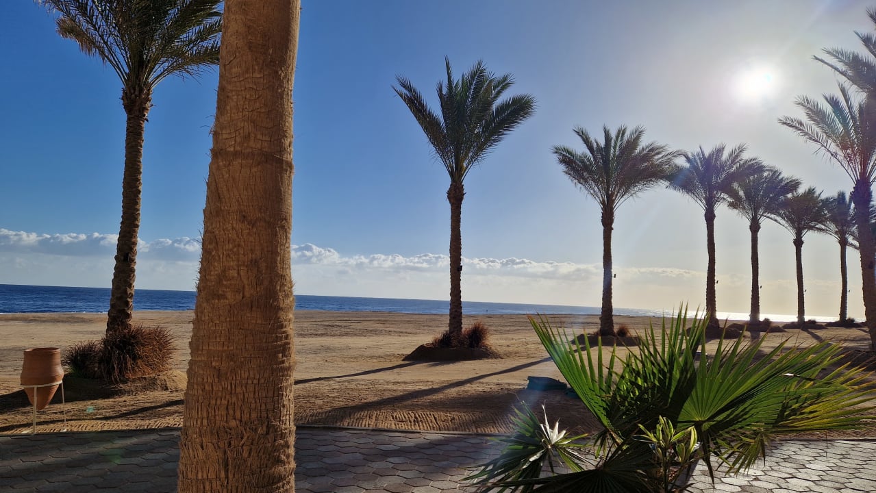 Strand Steigenberger Coraya Beach - Adults only