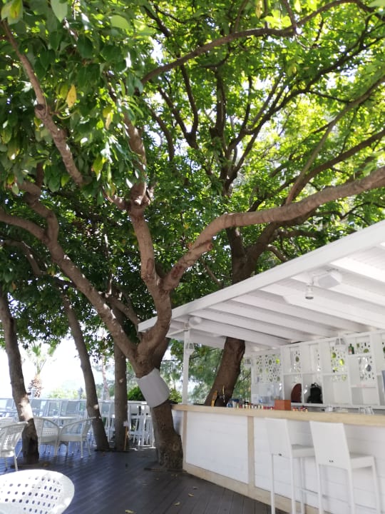 Gastro Labranda Mares Marmaris