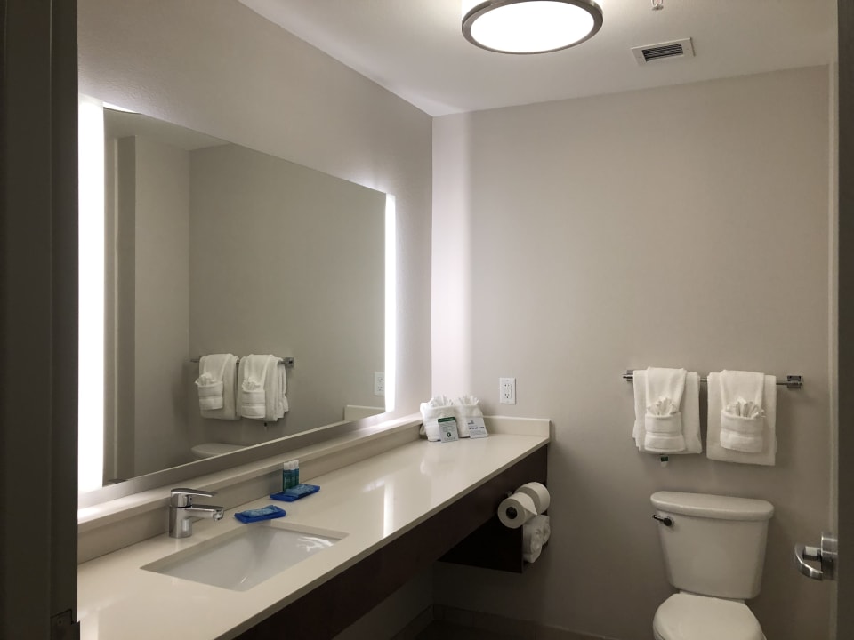 Zimmer Holiday Inn Express & Suites - Orlando At Seaworld