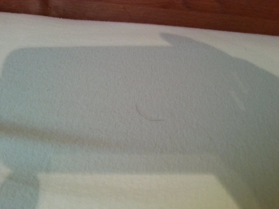 Bettwäsche mit Haare vom Vorgänger Gästehaus am Wasserpark