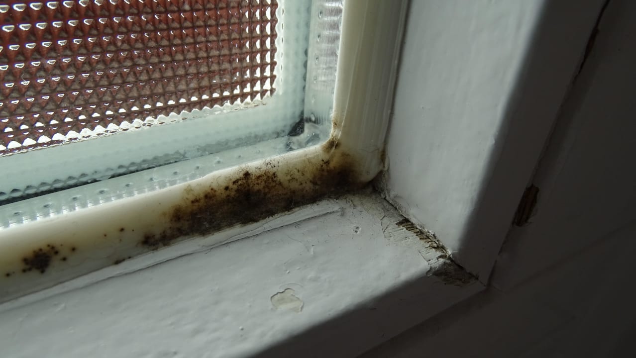 &quot;Schimmel und Dreck am Fenster im Badezimmer&quot; GHOTEL hotel