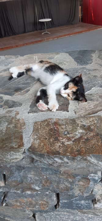 Gartenanlage Civitel Creta Beach