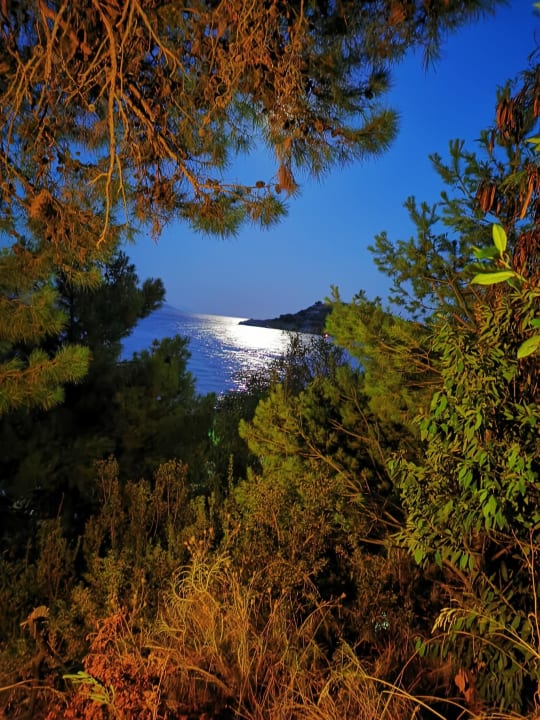 Ausblick TUI BLUE Seno - Adults Only