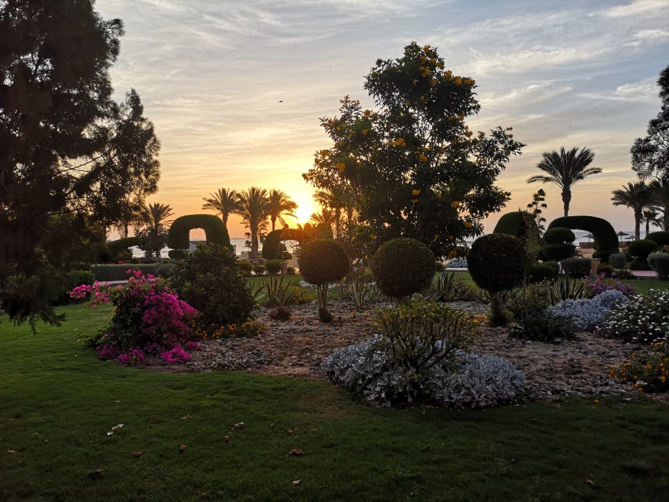 Ausblick Wadi Lahmy Azur Resort