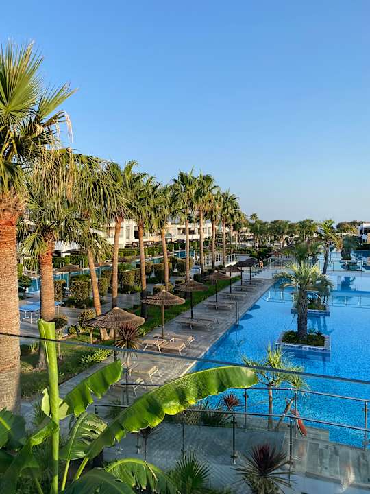 Pool TUI BLUE Palazzo del Mare