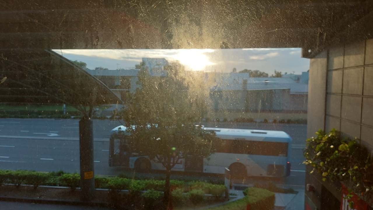 Ausblick Hotel Ibis Sydney Airport
