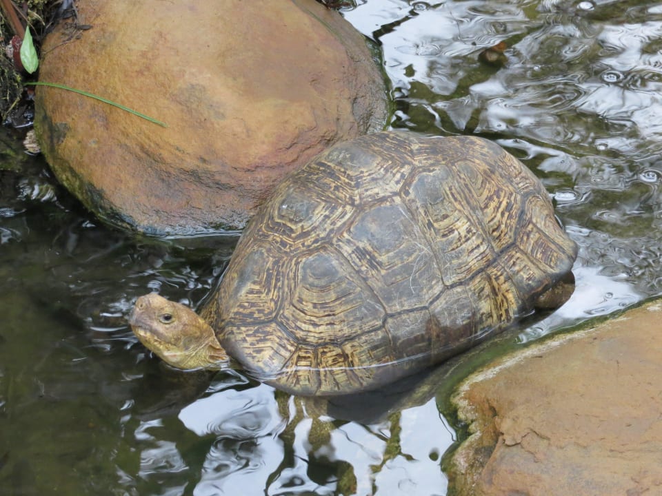 Bahari Beach Hotel Bahari Beach Hotel
