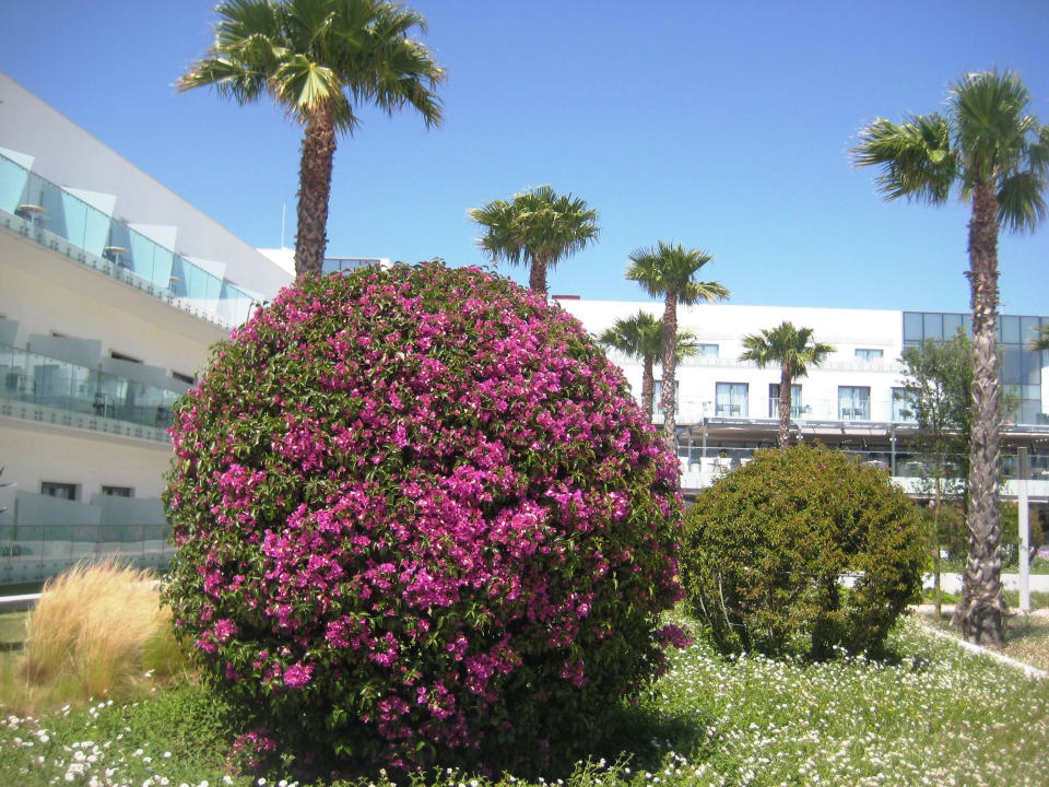 Schöner Farbkontrast Hipotels Gran Conil Hotel