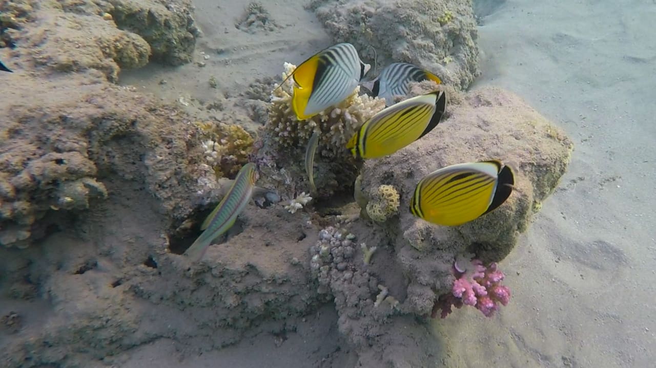 Sport & Freizeit Baron Palace Sahl Hasheesh