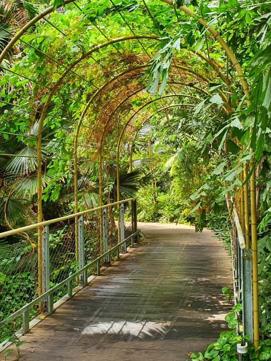 Gartenanlage Tropical Islands Resort