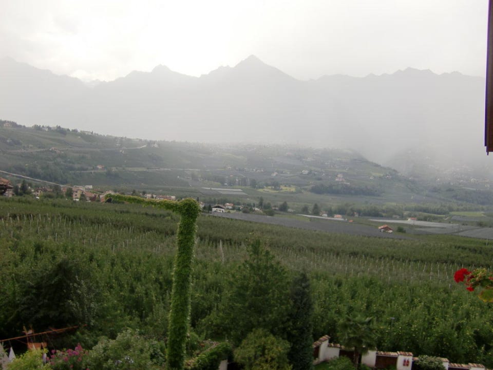 Blick auf die Apfelwiesen Hotel Burggräflerhof