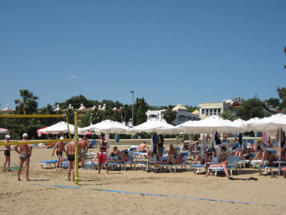 Strand Side Star Elegance