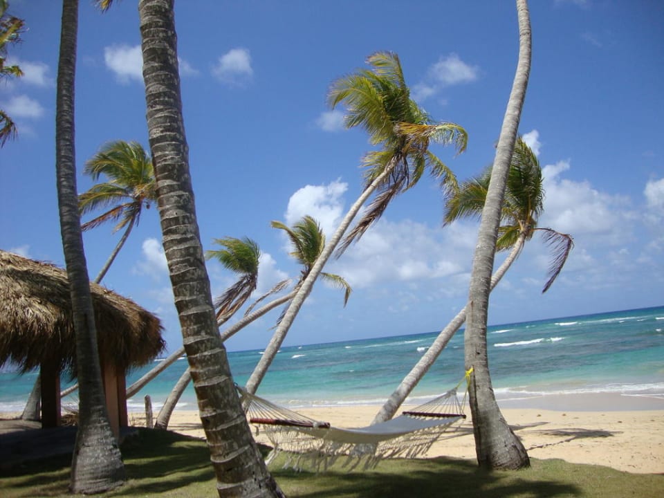 Strand Wyndham Alltra Punta Cana