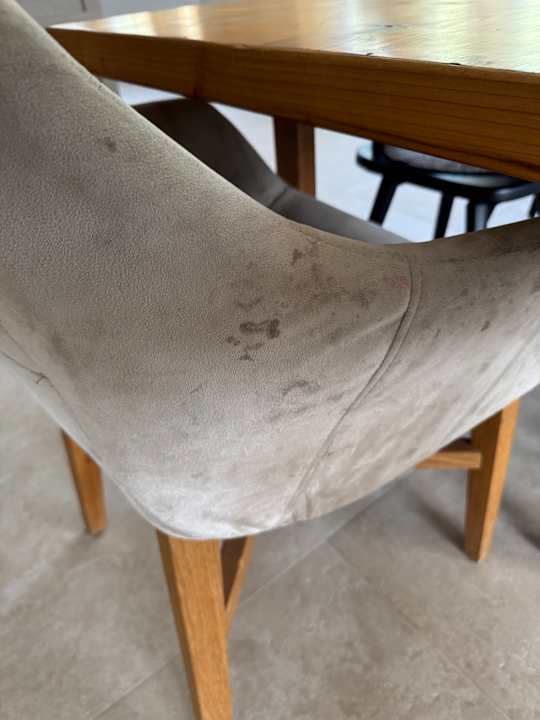 Zimmer Lou Garden Suite