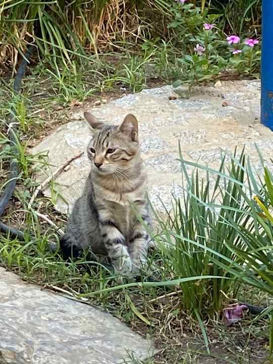 Außenansicht Hapimag Sea Garden Resort