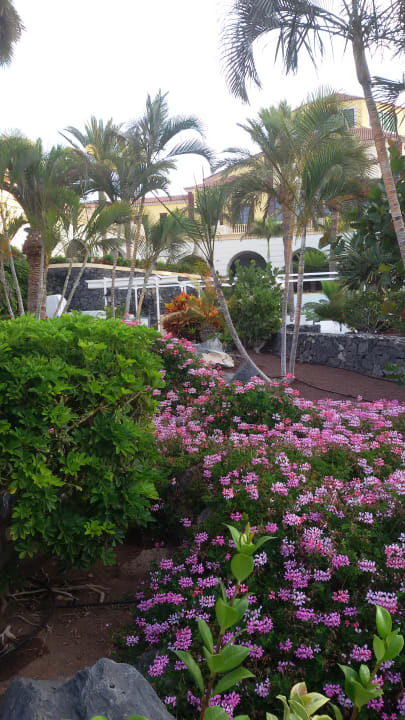 Gartenanlage Bahia Principe Sunlight Costa Adeje