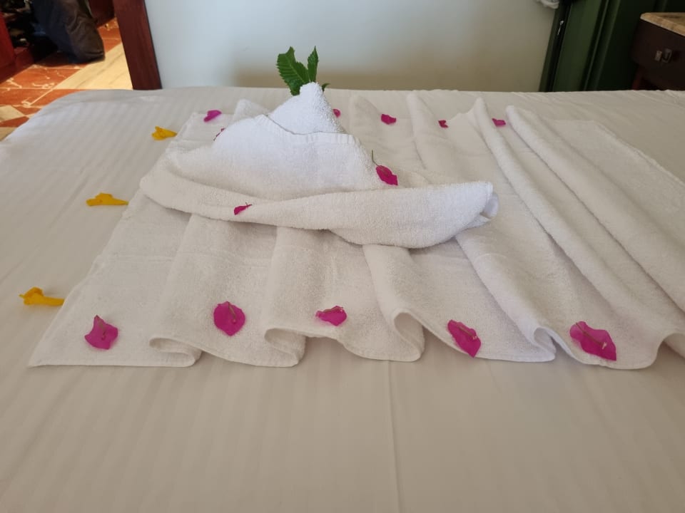 Zimmer Malikia Resort Abu Dabbab