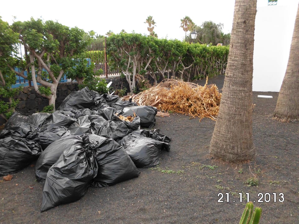 Der Müll liegt wochenlang Hotel Hyde Park Lane