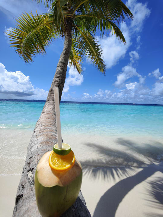 Gastro Filitheyo Island Resort