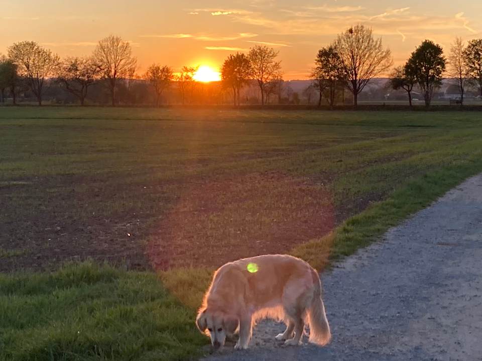 Außenansicht Apart Hotel am Sonnenhügel